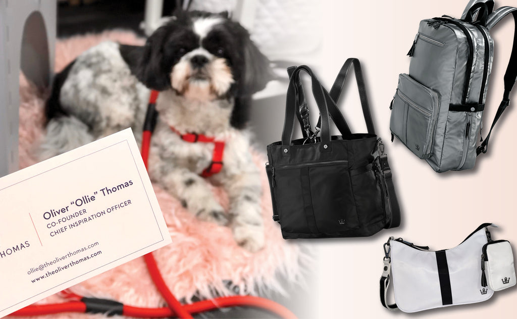 New C-Suite Nylon Collection: Whether You’re A Hooman Or Dog Be The CEO Of Your Life